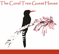 Coral Tree Guest House
