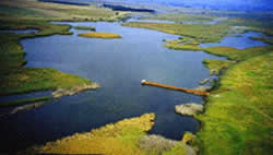 The Marievale Bird Sanctuary hosts the largest variety of bird species in the Gauteng Province