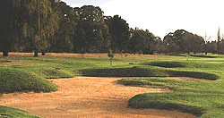 Maccauvlei Golf Course  close to Vereeniging