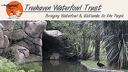 Treehaven Waterfowl Trust