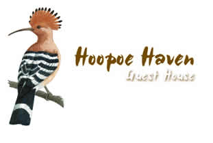 Hoopoe Haven Guest House B&B accommodation in Fourways