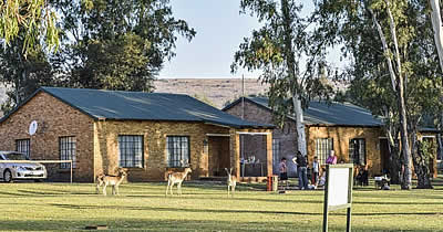 friendly fishing and game resort is situated in the Magaliesburg area.