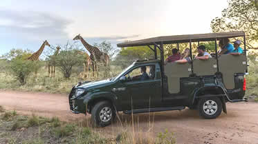 Dikhololo bush experience Dikhololo promises a never ending bush experience