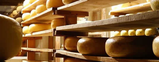Van Gaalen Cheese Van Gaalen Cheese Tours